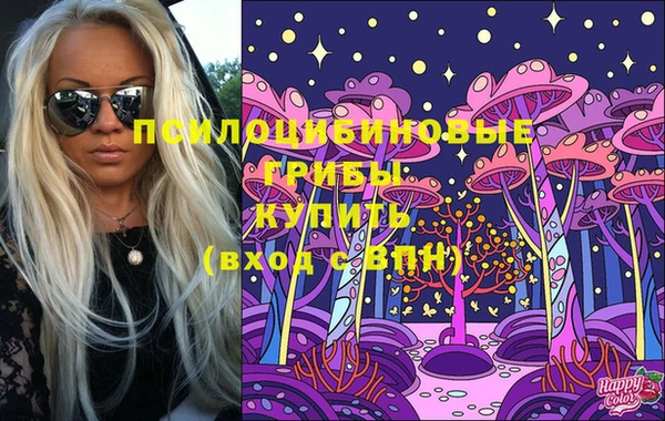 крисы Абаза