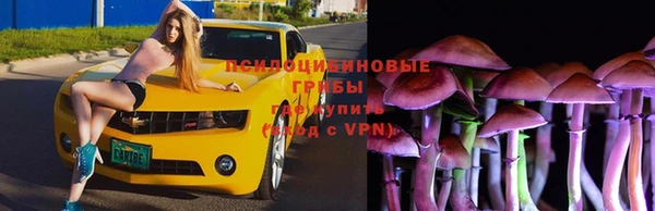 таблы Краснослободск