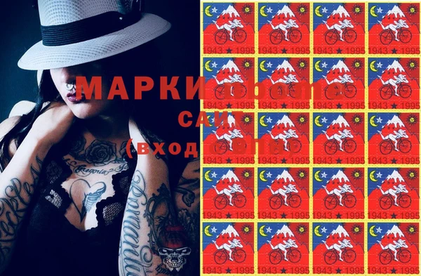 крисы Абаза