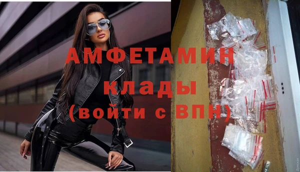 крисы Абаза